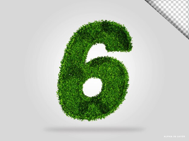 Number 6 boxwood style 3d render isolated