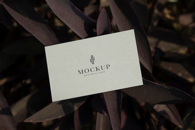 PSD nursery business card mockup