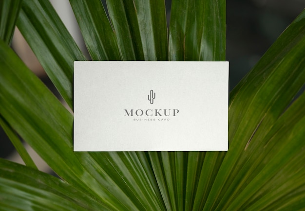 PSD nursery business card mockup