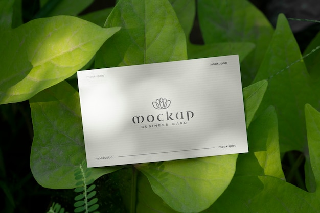 PSD nursery business card mockup