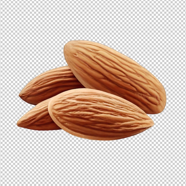 Nut Lovers' Paradise Almond CloseUps