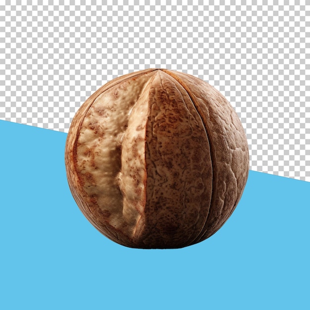 Nutmeg isolated object transparent background