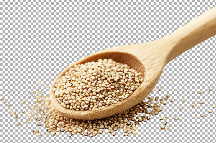PSD nutritious quinoa seeds rich in protein