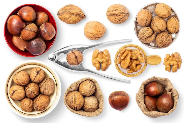 Noci castagne elementi alimentari png immagine