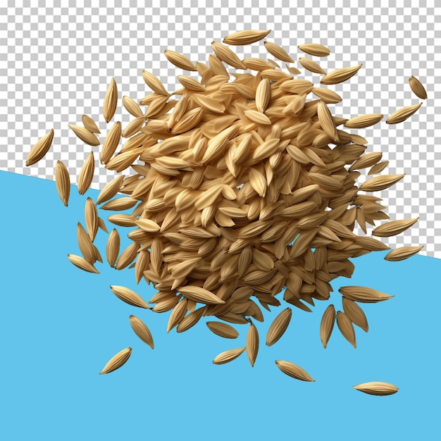 PSD oat grains isolated object transparent background