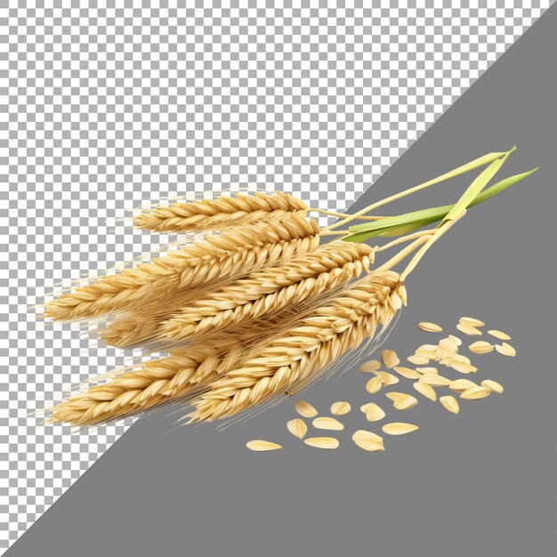 PSD oats against transparent background ai generated