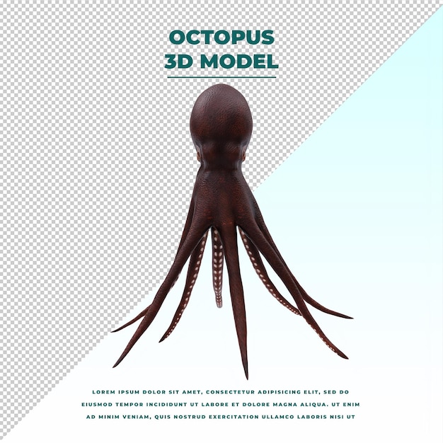 PSD octopus geïsoleerd