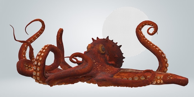 PSD octopus isolated on a transparent background