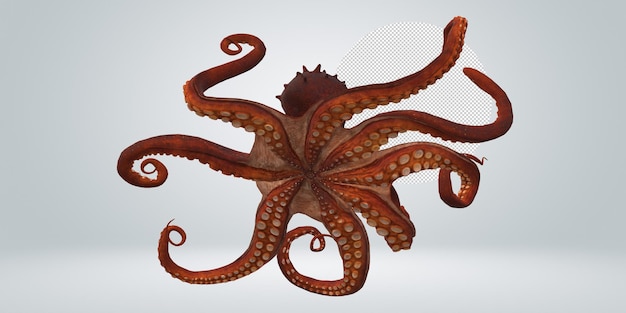 PSD octopus isolated on a transparent background