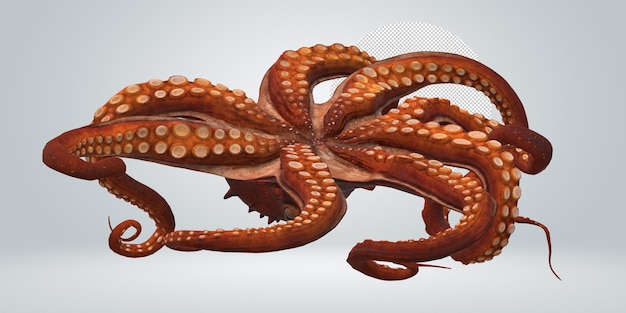 PSD octopus isolated on a transparent background