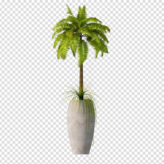 Odosobniona roślina kokosowa w renderowaniu 3d