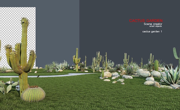 PSD ogród kaktusów