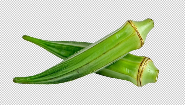 Okra on alpha layer