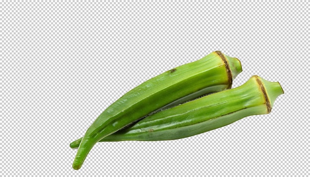 Okra On Alpha Layer