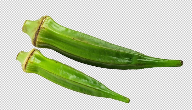 Okra On Alpha Layer