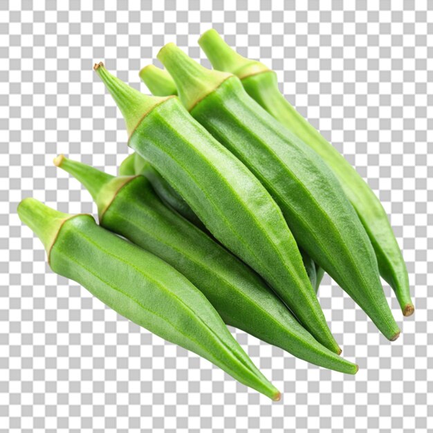 Okra obsession a culinary classic on transparent background