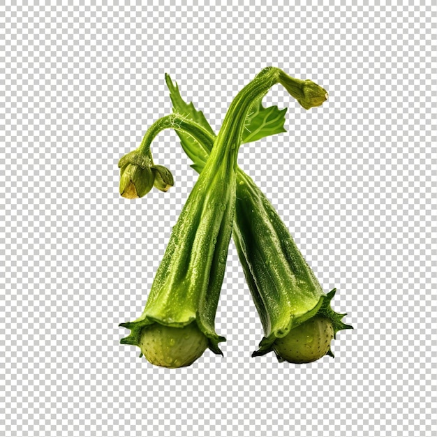 PSD okra on psd transparent background excotic fruit vegetables