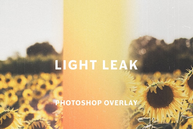 PSD old film lens light leak photo overlay