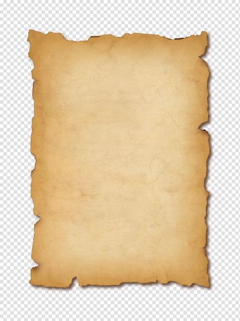 Old mediaeval paper sheet Parchment scroll isolated on white with shadow