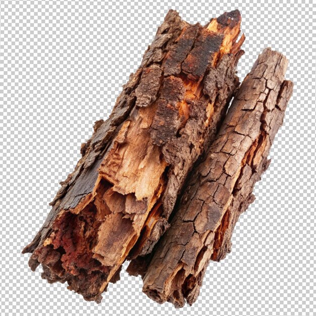 PSD old rotten bark putrid conifers on transparent background