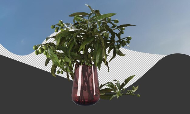 PSD olive branch in glass vase