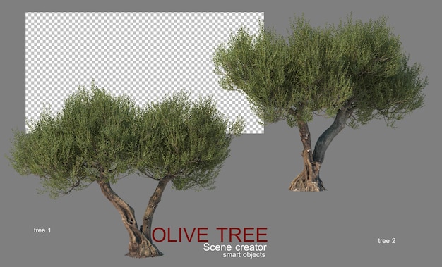 PSD olive trees of various shapes