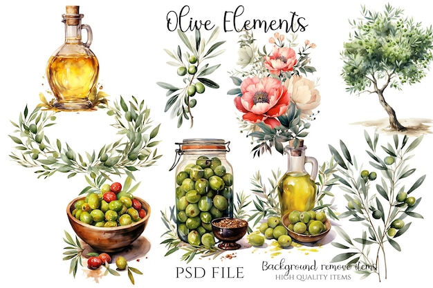 Olive Watercolor Elements