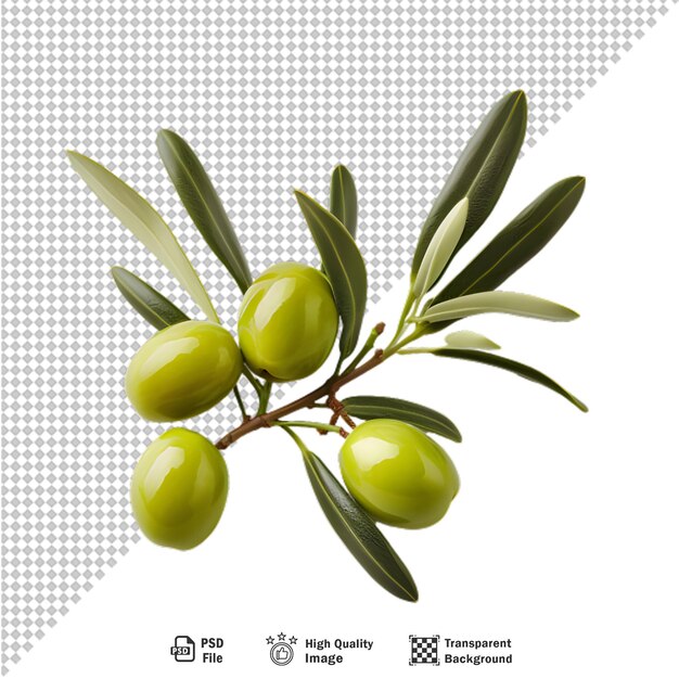 PSD olives with leaves isolated on transparent background