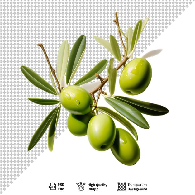 PSD olives with leaves isolated on transparent background