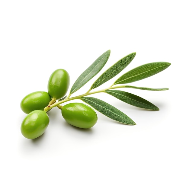 PSD olives