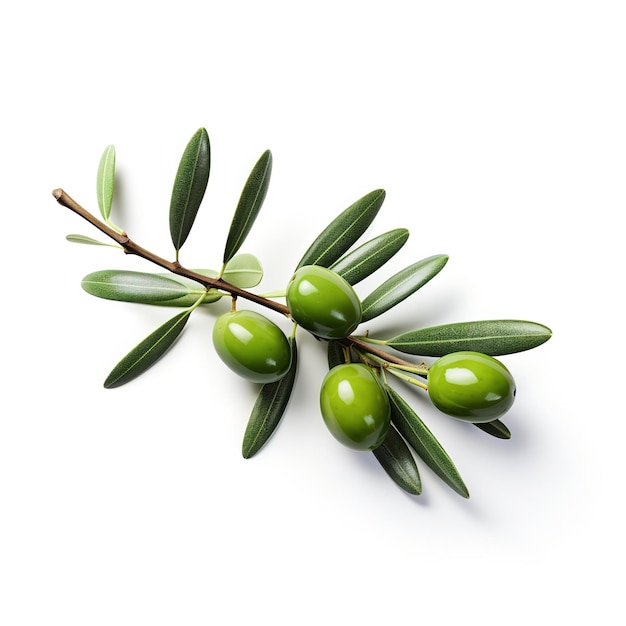 PSD olives