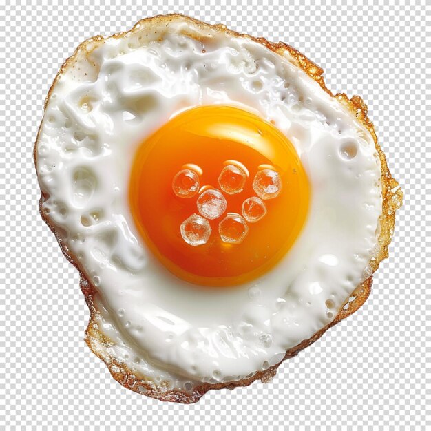 PSD omelette day isolated on transparent background