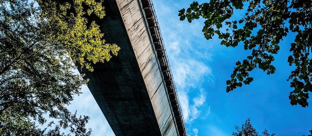 Onder de brug een uitzicht op de hemel door het gebladerte