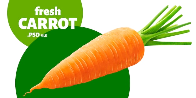 Одна морковь, изолированная на белом