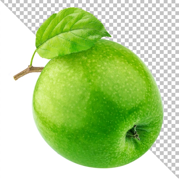 One green apple isolated