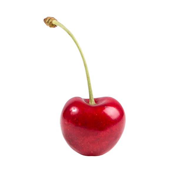 One isolated cherry without background