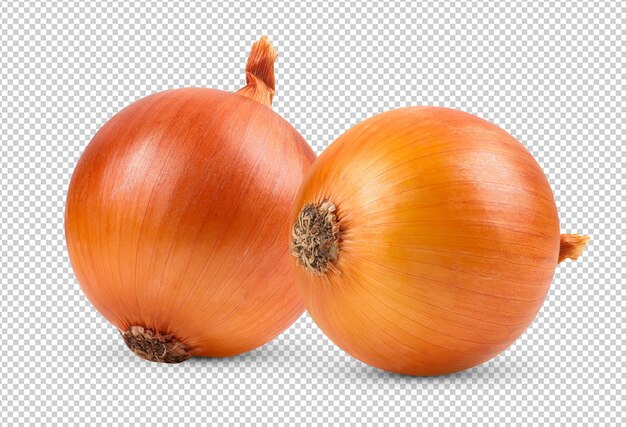 Onion bulbs isolated on alpha layer background