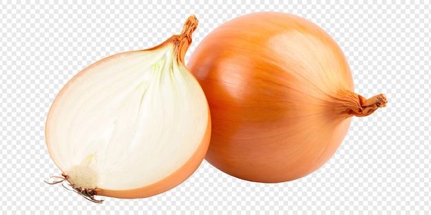 반으로 잘라진 양파와 전체 양파