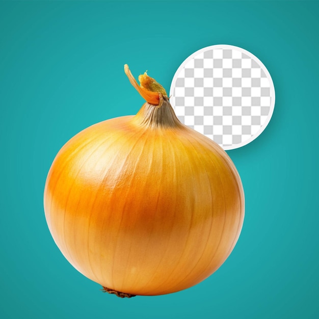 PSD onion isolated