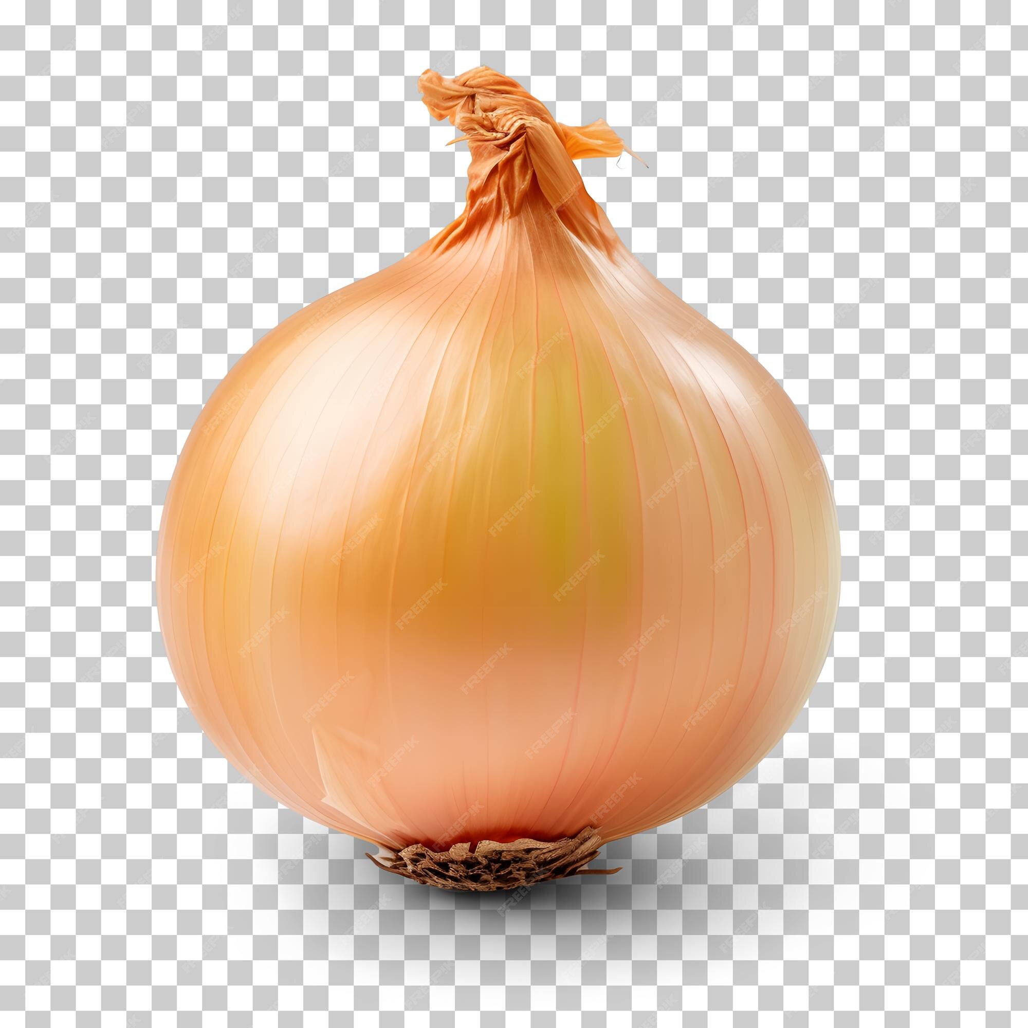 Shallot PNG Transparent Images Free Download, Vector Files