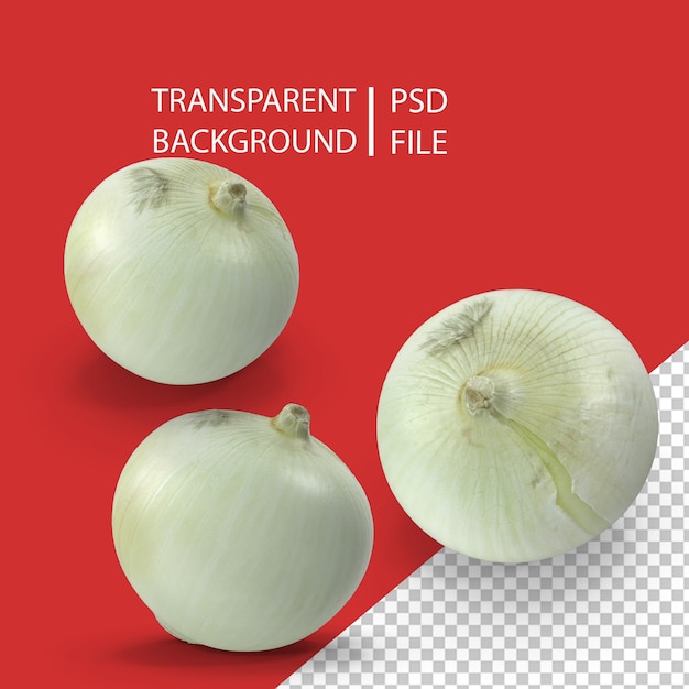 PSD onion png