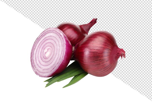 PSD cipolle png