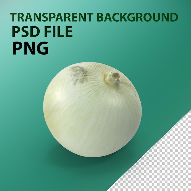 PSD onion png
