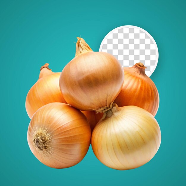 Onion on transparent background