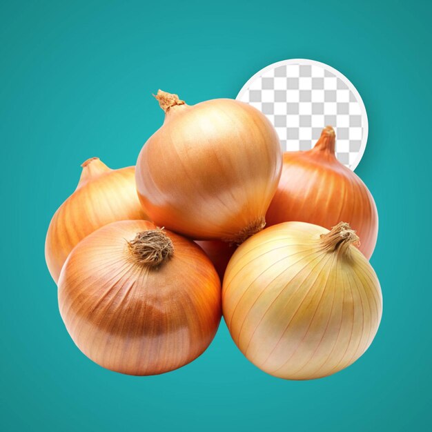 Onion on transparent background