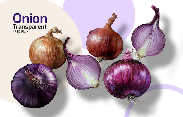 PSD onion transparent png file