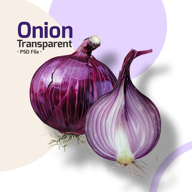 Onion transparent png file