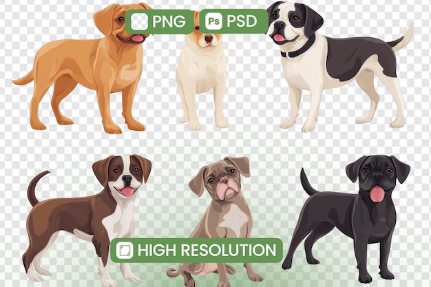 Ontdek schattige hondenrassen Zes hoge resolutie afbeeldingen van honden metgezellen Perfect voor projecten Ontwerpen PNG en PSD formaten beschikbaar
