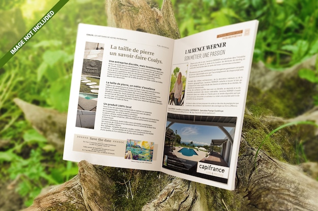 Open brochure on a wooden stump mockup