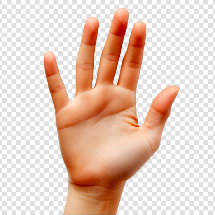 PSD open hand gesture showing stop or pause on a transparent background
